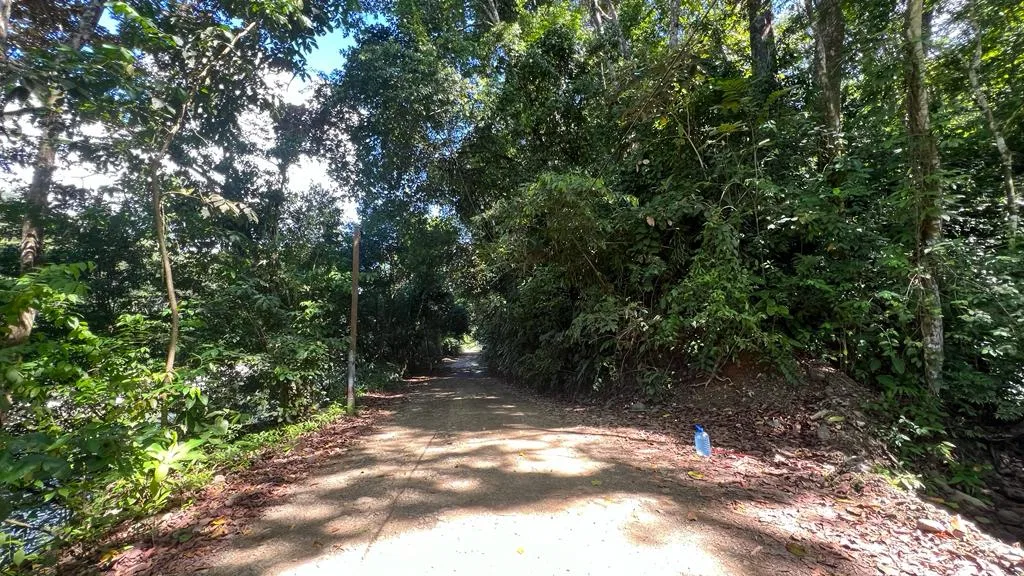 WALK TO BEACH OASIS: EXPANSIVE 2.46-ACRE PROPERTY WITH PRE-GRADED HOME SITE & ENDLESS POTENTIAL, photo 11