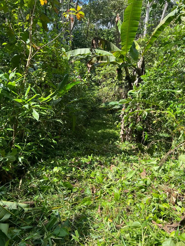 WALK TO BEACH OASIS: EXPANSIVE 2.46-ACRE PROPERTY WITH PRE-GRADED HOME SITE & ENDLESS POTENTIAL, photo 14