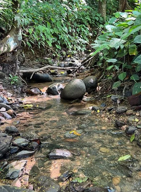 WALK TO BEACH OASIS: EXPANSIVE 2.46-ACRE PROPERTY WITH PRE-GRADED HOME SITE & ENDLESS POTENTIAL, photo 4