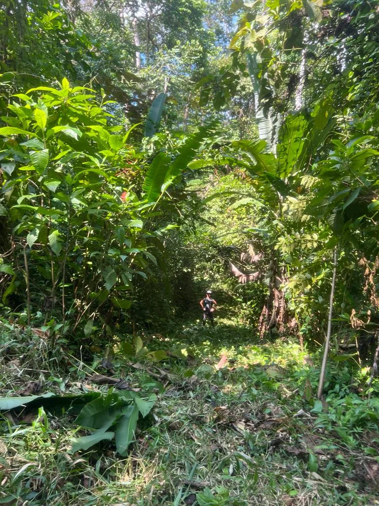 WALK TO BEACH OASIS: EXPANSIVE 2.46-ACRE PROPERTY WITH PRE-GRADED HOME SITE & ENDLESS POTENTIAL, photo 5