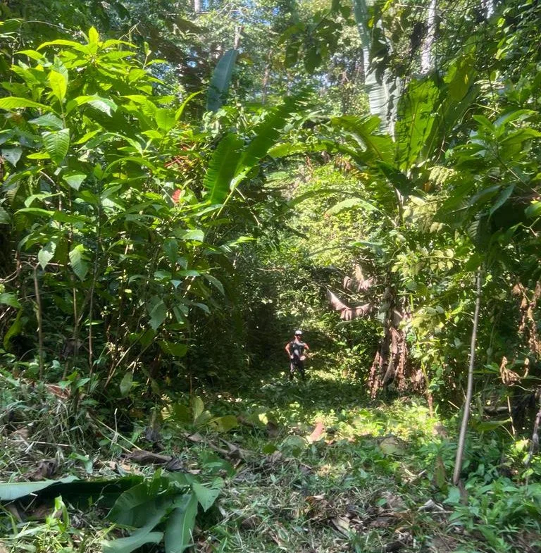 WALK TO BEACH OASIS: EXPANSIVE 2.46-ACRE PROPERTY WITH PRE-GRADED HOME SITE & ENDLESS POTENTIAL, photo 6