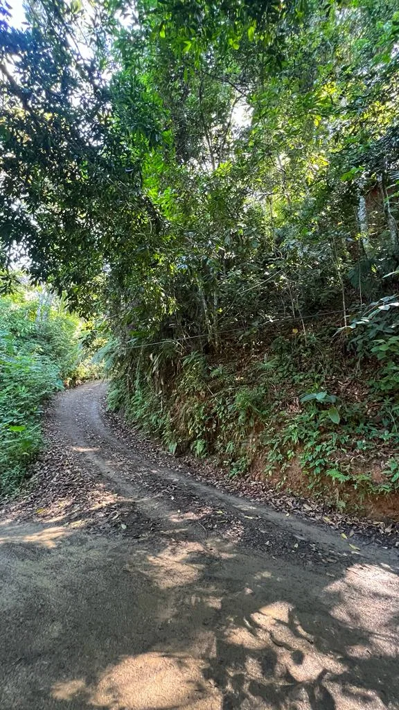 WALK TO BEACH OASIS: EXPANSIVE 2.46-ACRE PROPERTY WITH PRE-GRADED HOME SITE & ENDLESS POTENTIAL, photo 7