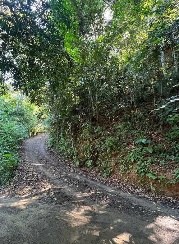 WALK TO BEACH OASIS: EXPANSIVE 2.46-ACRE PROPERTY WITH PRE-GRADED HOME SITE & ENDLESS POTENTIAL, photo 8
