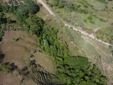Vive en la Naturaleza! Terreno con vistas y servicios, photo 5