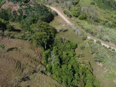 Vive en la Naturaleza! Terreno con vistas y servicios, photo 6