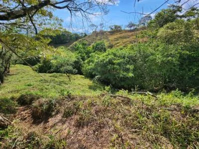 Vive en la Naturaleza! Terreno con vistas y servicios, photo 7