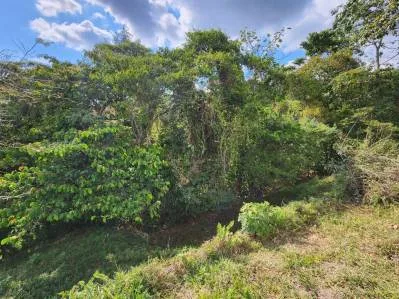 Vive en la Naturaleza! Terreno con vistas y servicios, photo 10