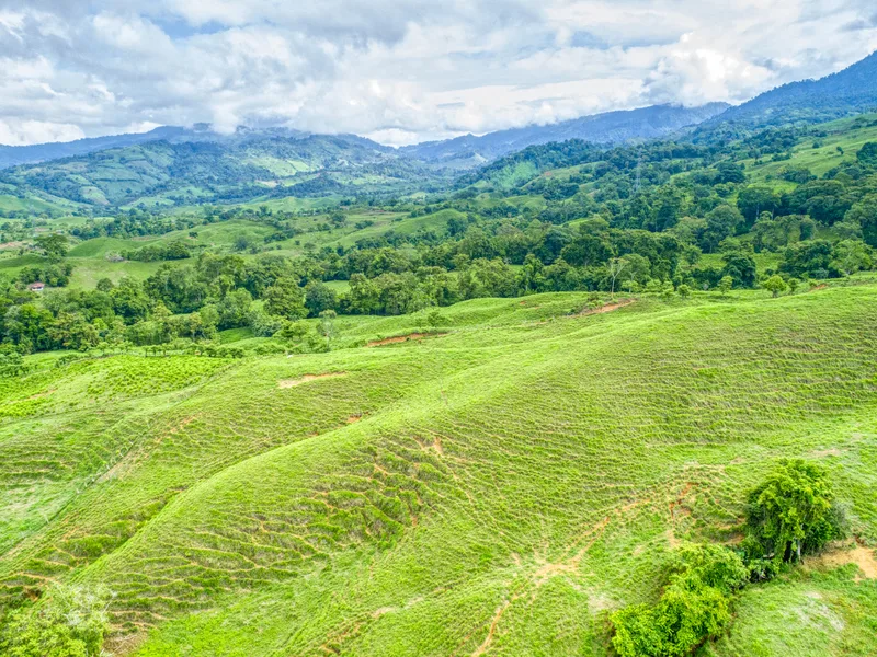 Land For Sale in Perez Zeledon, photo 2