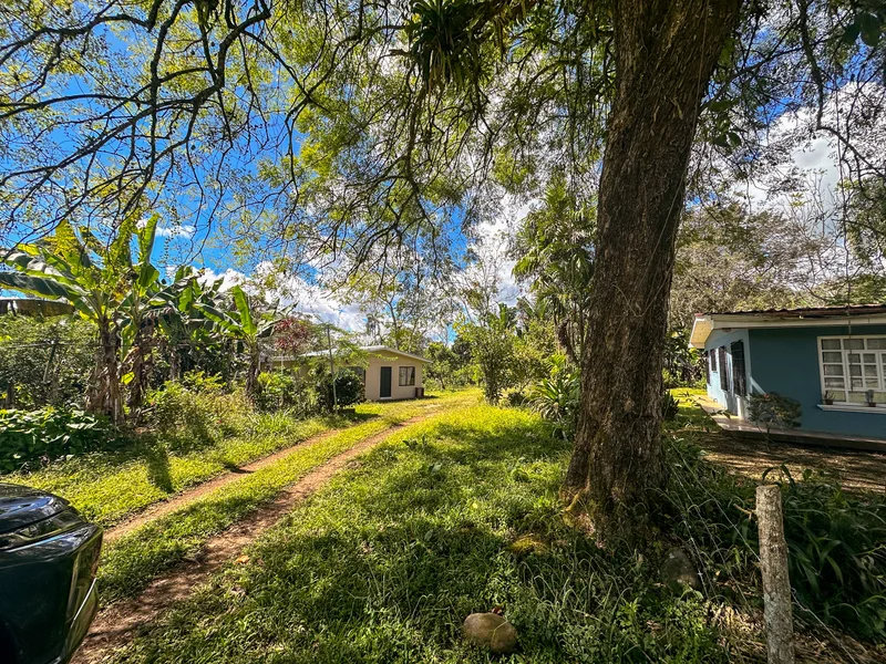 3 Bed Single Family Homes For Sale in Perez Zeledon, photo 2