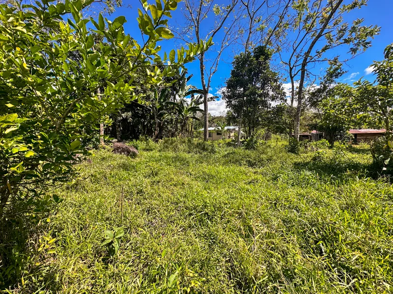 3 Bed Single Family Homes For Sale in Perez Zeledon, photo 12
