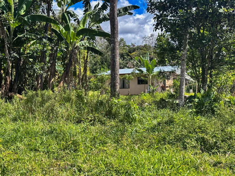 3 Bed Single Family Homes For Sale in Perez Zeledon, photo 13