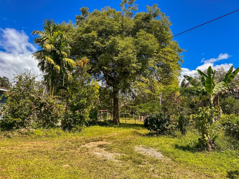 3 Bed Single Family Homes For Sale in Perez Zeledon, photo 14