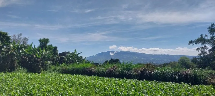 Terreno Totalmente Plano en Venta en San Jose , Curridabat  - Venta en Curridabat, photo 15