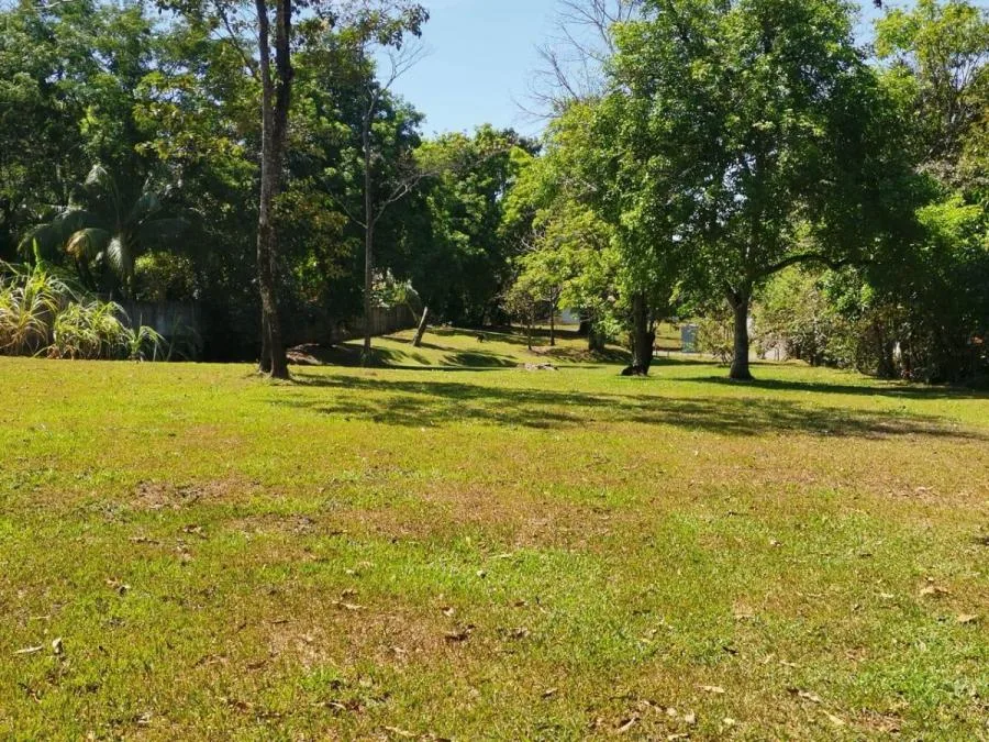 Venta de Lote en San Mateo de Alajuela. RAH 25-1567 - Venta en San Mateo