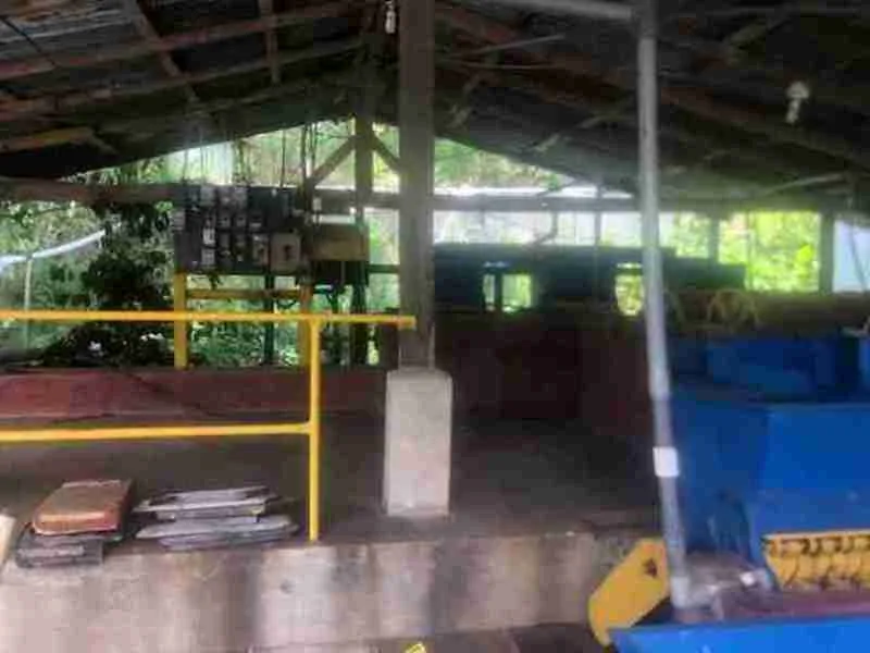 Land For Sale in Nuevo Arenal, photo 4