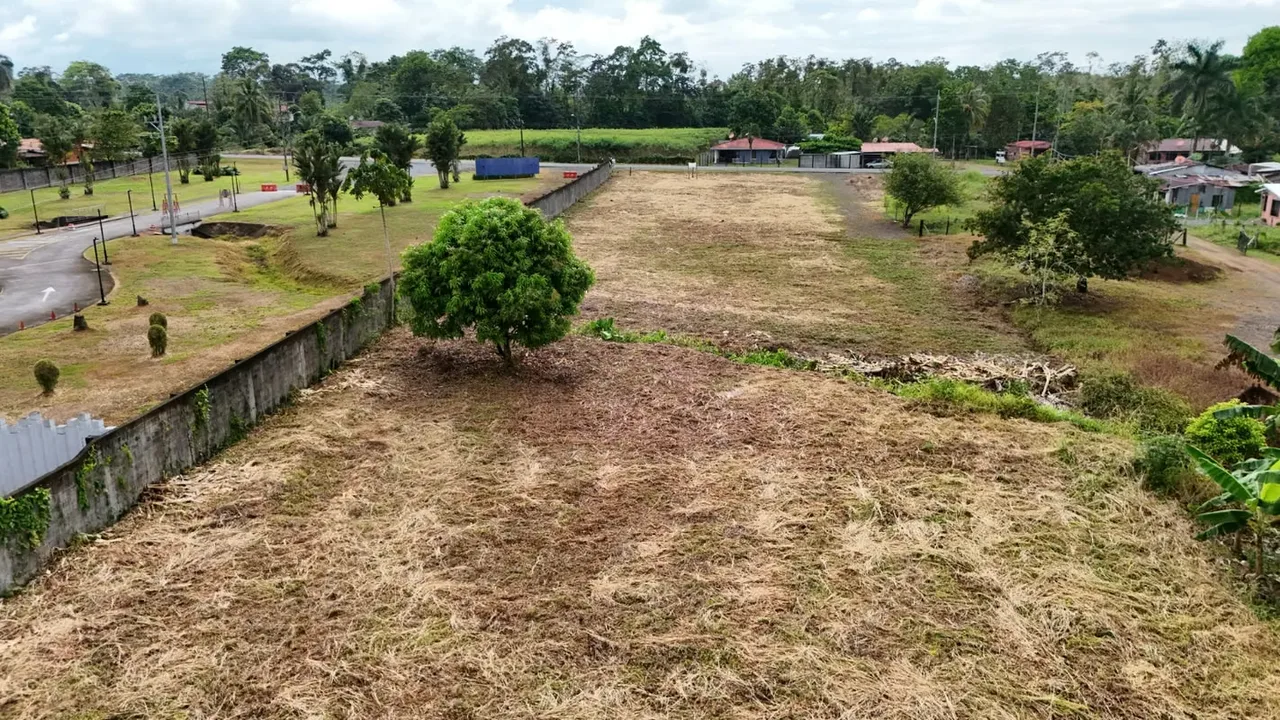 DESCRIPCIÓN DETALLADA: amplia propiedad conformada por seis lotes independientes, cada uno con su ..., photo 3