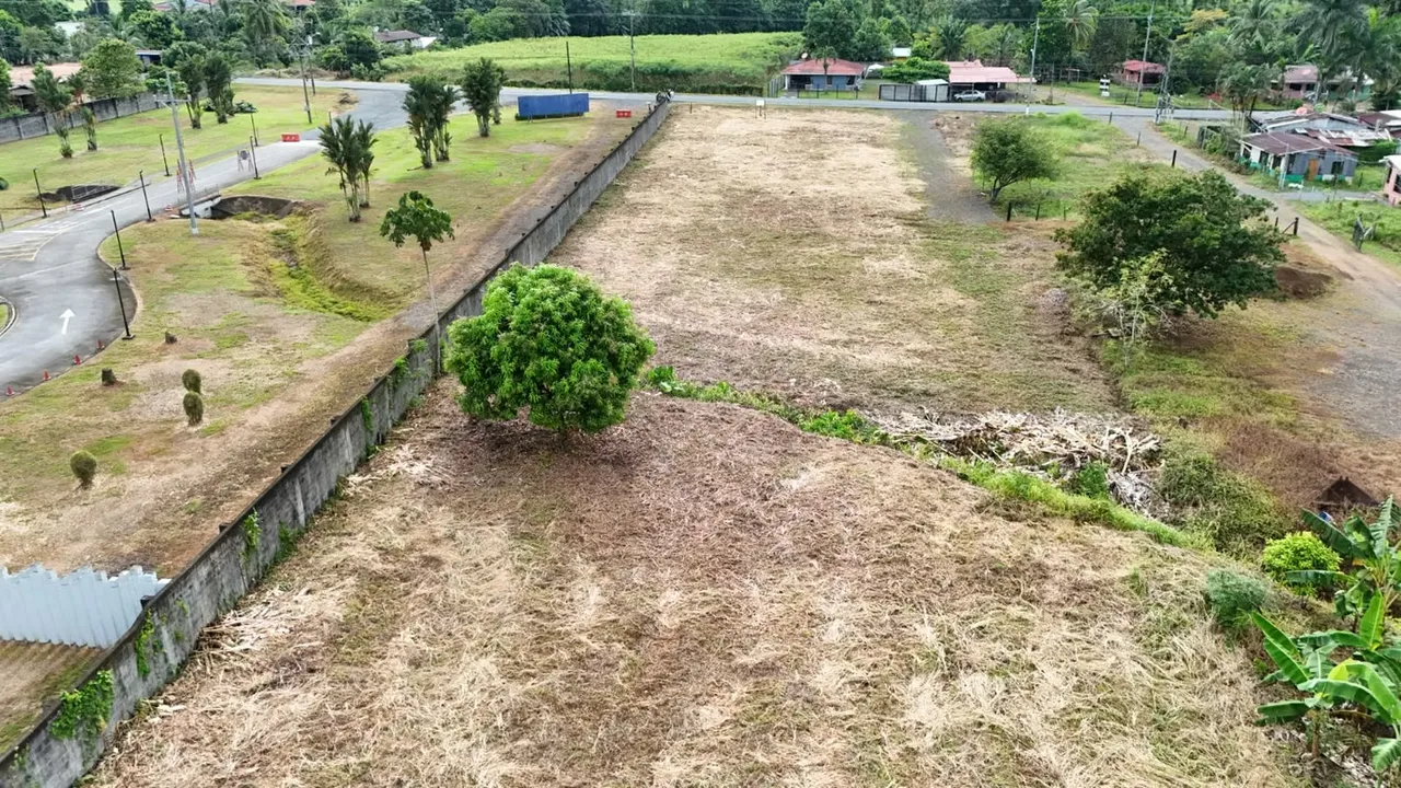 DESCRIPCIÓN DETALLADA: amplia propiedad conformada por seis lotes independientes, cada uno con su ..., photo 7