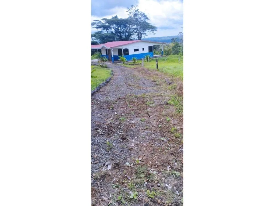 ¡Invierte en naturaleza y disfruta del potencial de esta hermosa finca en Upala, Alajuela!