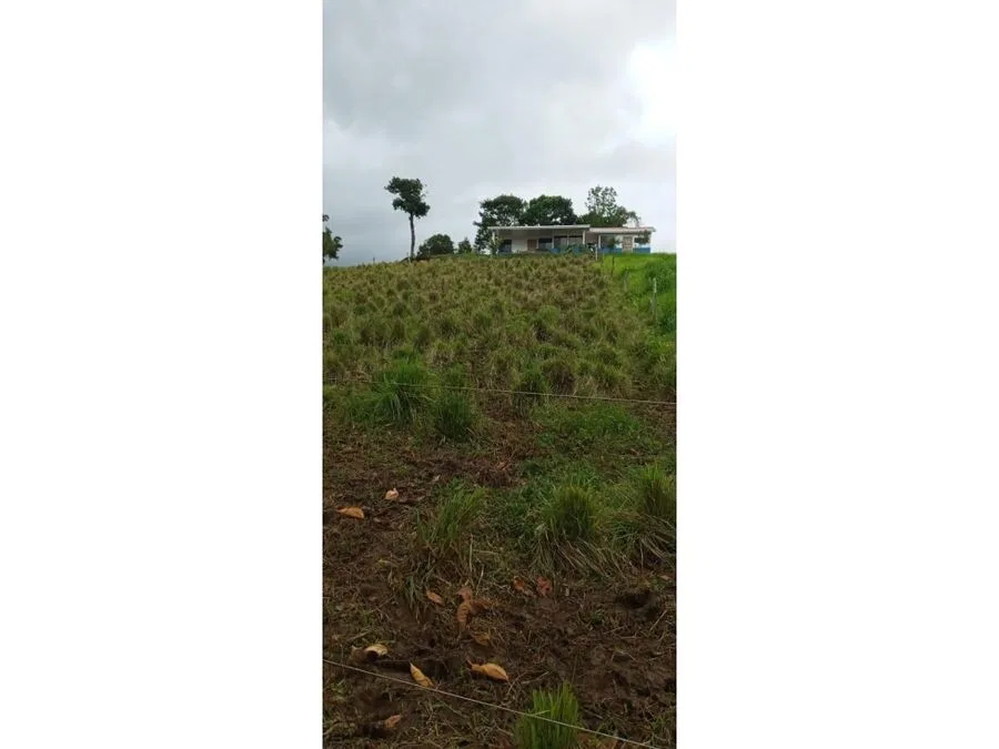 ¡Invierte en naturaleza y disfruta del potencial de esta hermosa finca en Upala, Alajuela!, photo 4