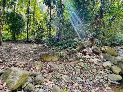 Propiedad frente al río con múltiples casas y potencial de expansión., photo 6