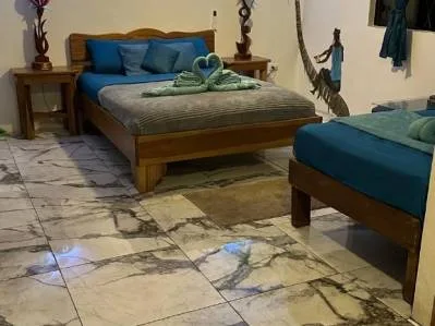 🌿🌳EDICIÓN LIMITADA🌳🌿-Oportunidad de negocio/vivienda tropical a pasos de la playa, photo 4