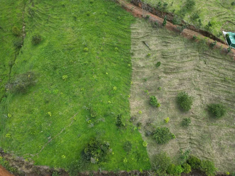 4 Bed Land For Sale in Perez Zeledon, photo 12