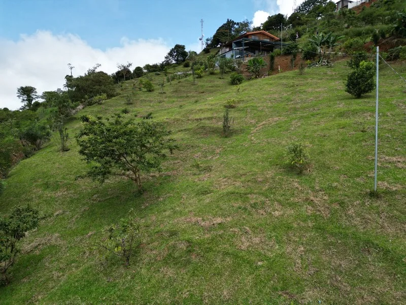 4 Bed Land For Sale in Perez Zeledon, photo 13