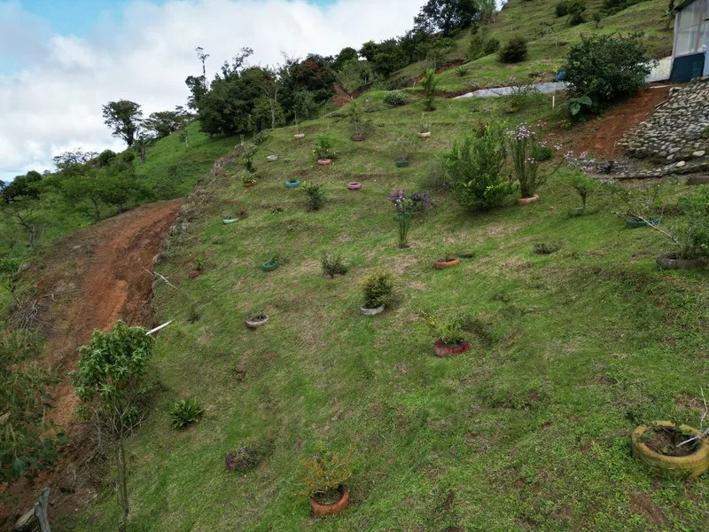 4 Bed Land For Sale in Perez Zeledon, photo 14
