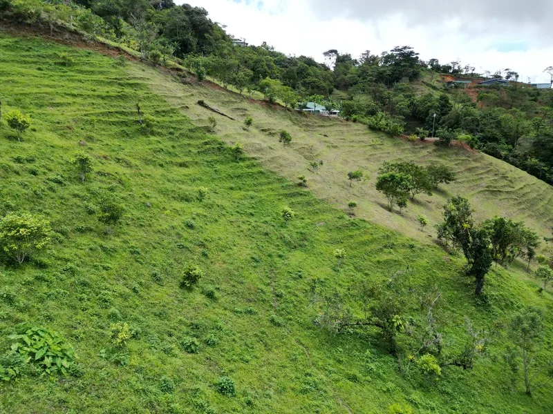 4 Bed Land For Sale in Perez Zeledon, photo 15