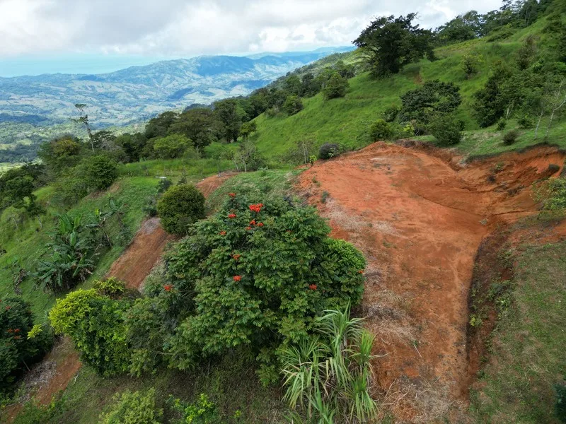 4 Bed Land For Sale in Perez Zeledon, photo 9