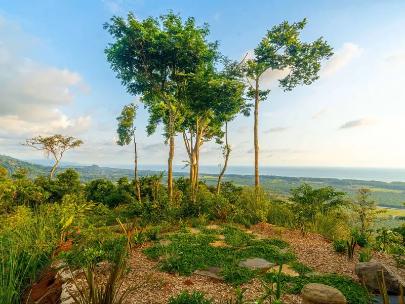 3 Bed Single Family Homes For Sale in Matapalo, photo 14