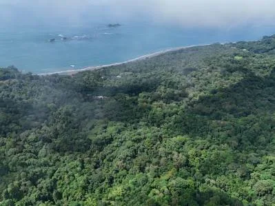 Finca Las Cataratas en Ballena