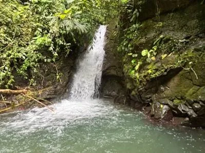 Finca Las Cataratas en Ballena, photo 4