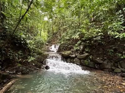 Finca Las Cataratas en Ballena, photo 5