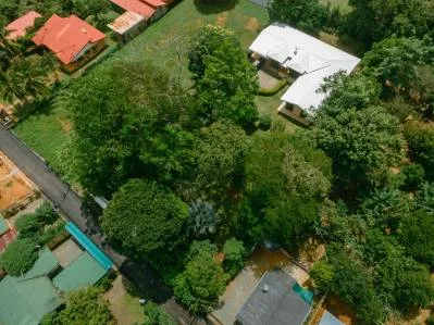 Casa Naranjito