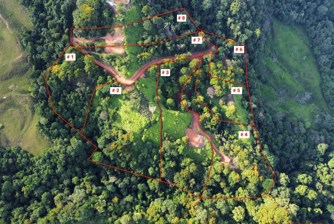 BUILDING PROPERTY WITH  MOUNTAINS VIEWS AND EXTRA LOTS WITH OCEAN VIEW NEXT TO THE PROPERTY – 2.1 ACRES, photo 2
