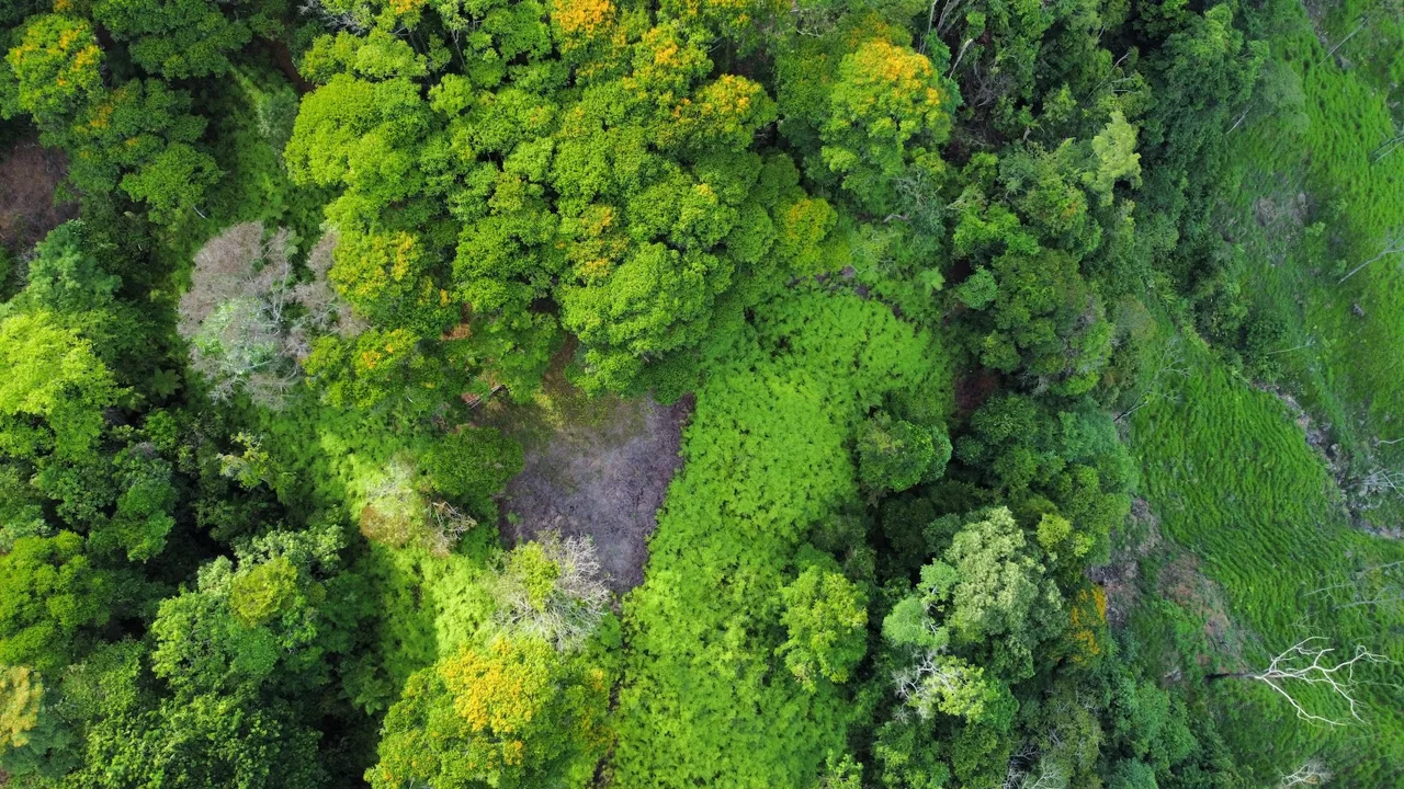 BUILDING PROPERTY WITH  MOUNTAINS VIEWS AND EXTRA LOTS WITH OCEAN VIEW NEXT TO THE PROPERTY – 2.1 ACRES, photo 11