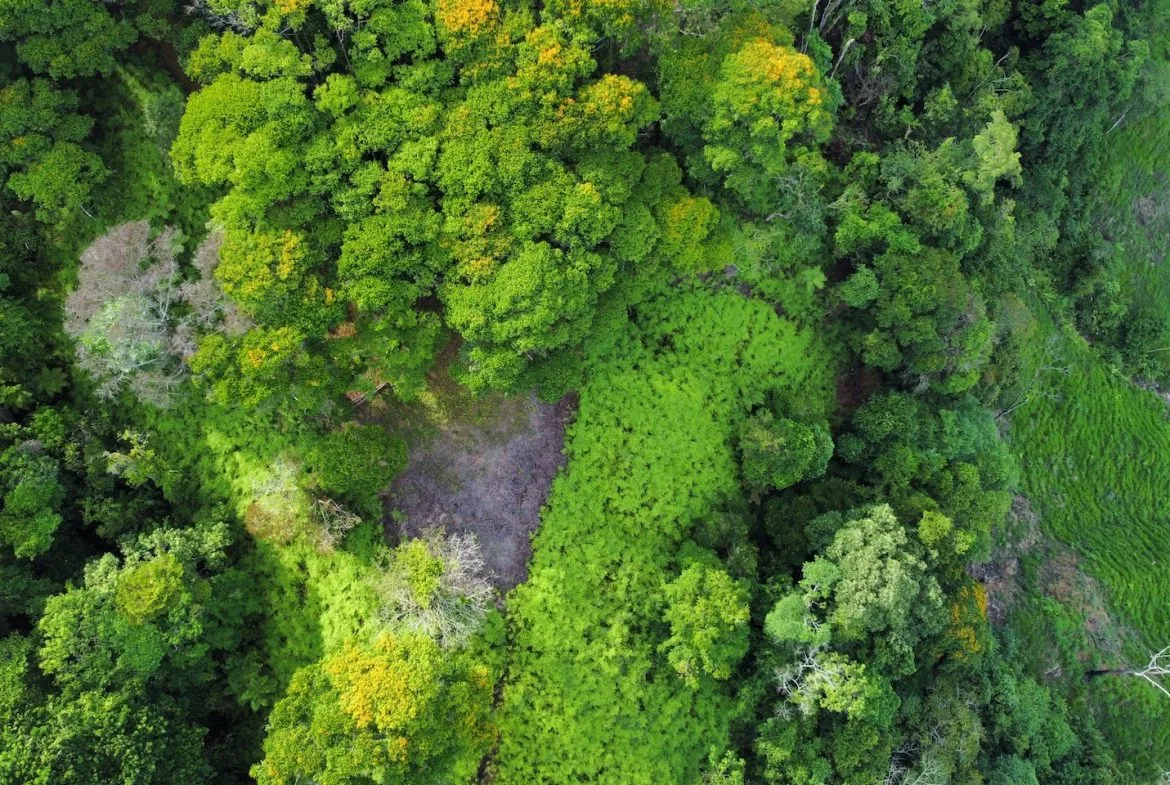 BUILDING PROPERTY WITH  MOUNTAINS VIEWS AND EXTRA LOTS WITH OCEAN VIEW NEXT TO THE PROPERTY – 2.1 ACRES, photo 12