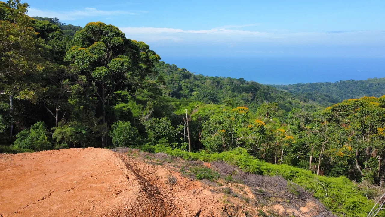 BUILDING PROPERTY WITH  MOUNTAINS VIEWS AND EXTRA LOTS WITH OCEAN VIEW NEXT TO THE PROPERTY – 2.1 ACRES, photo 13