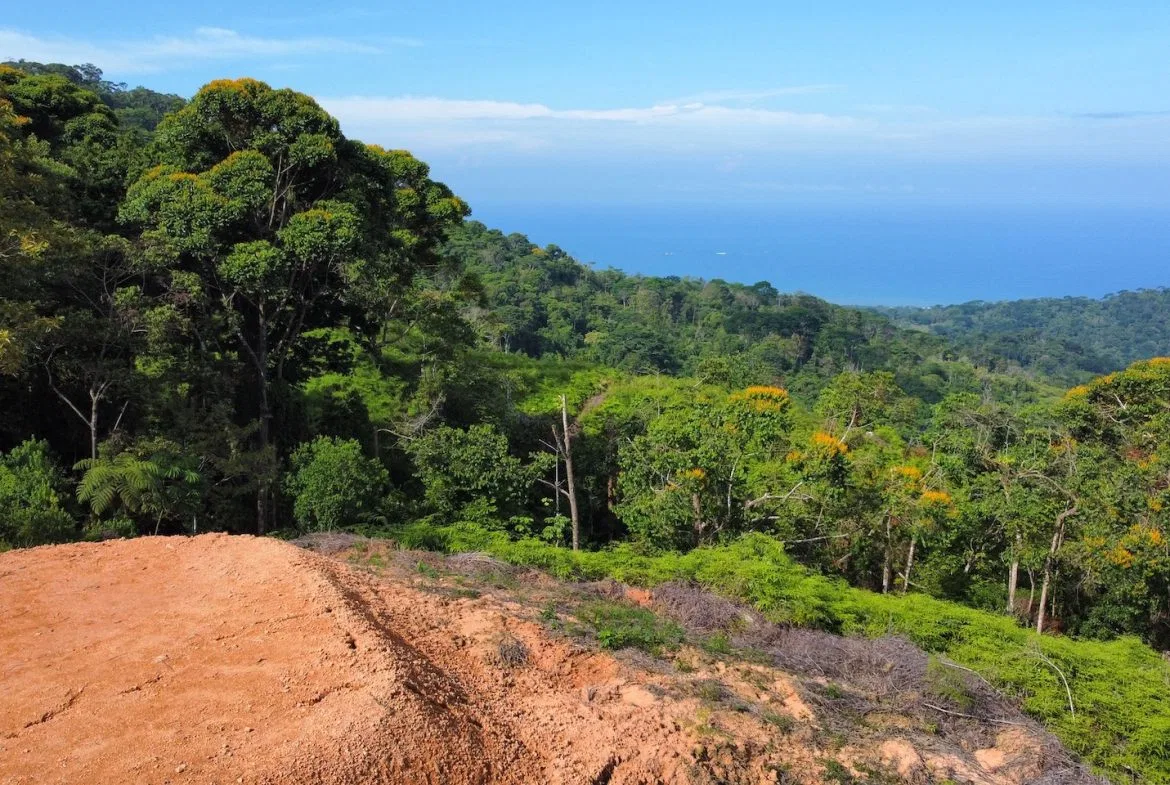 BUILDING PROPERTY WITH  MOUNTAINS VIEWS AND EXTRA LOTS WITH OCEAN VIEW NEXT TO THE PROPERTY – 2.1 ACRES, photo 14