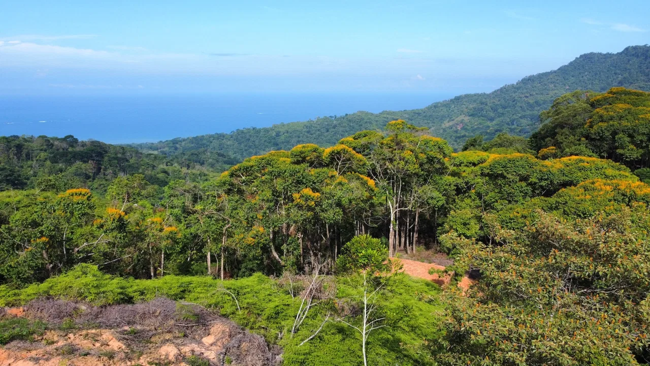 BUILDING PROPERTY WITH  MOUNTAINS VIEWS AND EXTRA LOTS WITH OCEAN VIEW NEXT TO THE PROPERTY – 2.1 ACRES, photo 15