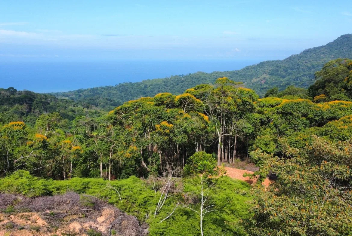 BUILDING PROPERTY WITH  MOUNTAINS VIEWS AND EXTRA LOTS WITH OCEAN VIEW NEXT TO THE PROPERTY – 2.1 ACRES, photo 16