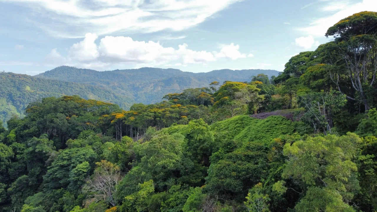 BUILDING PROPERTY WITH  MOUNTAINS VIEWS AND EXTRA LOTS WITH OCEAN VIEW NEXT TO THE PROPERTY – 2.1 ACRES, photo 23