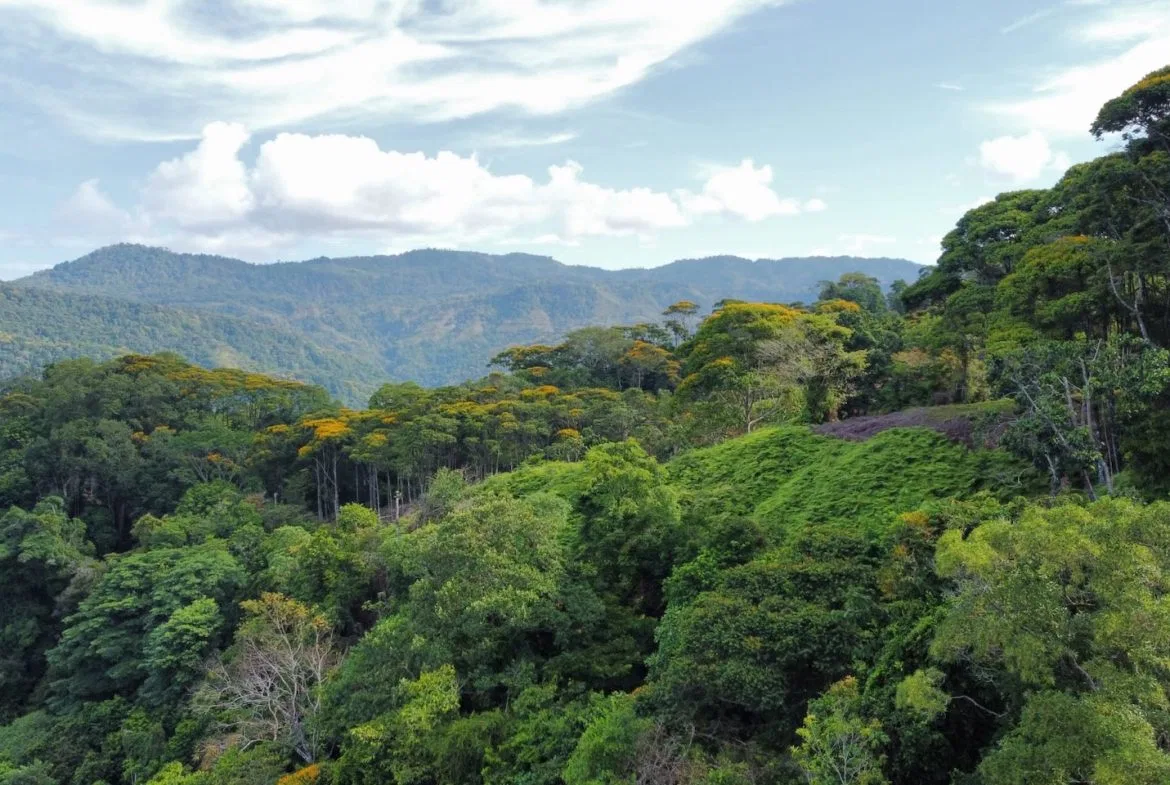 BUILDING PROPERTY WITH  MOUNTAINS VIEWS AND EXTRA LOTS WITH OCEAN VIEW NEXT TO THE PROPERTY – 2.1 ACRES, photo 24