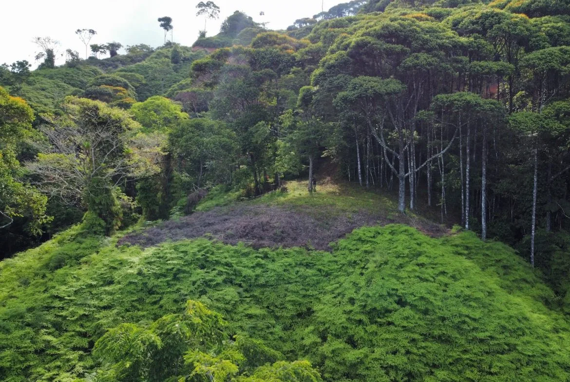 BUILDING PROPERTY WITH  MOUNTAINS VIEWS AND EXTRA LOTS WITH OCEAN VIEW NEXT TO THE PROPERTY – 2.1 ACRES, photo 8