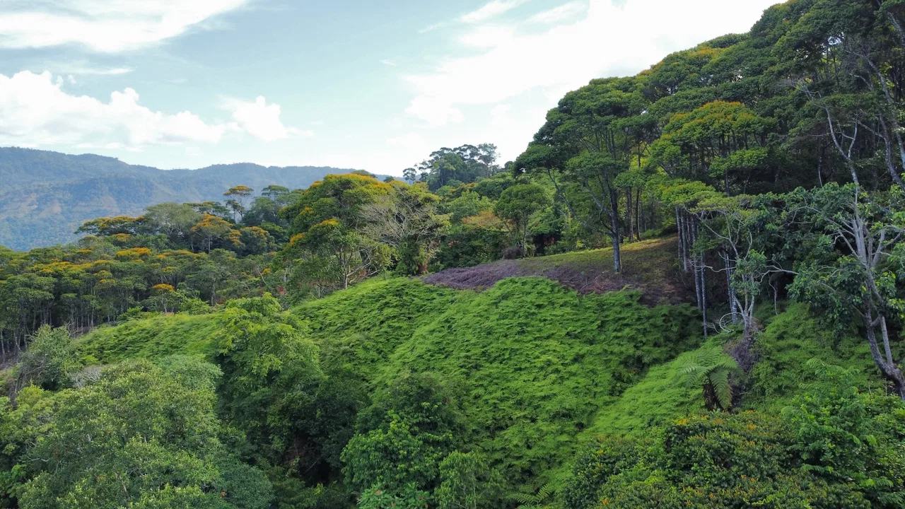 BUILDING PROPERTY WITH  MOUNTAINS VIEWS AND EXTRA LOTS WITH OCEAN VIEW NEXT TO THE PROPERTY – 2.1 ACRES, photo 9