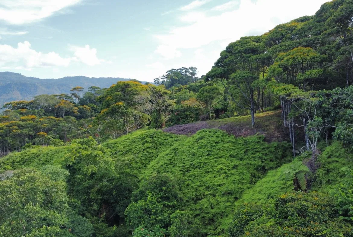 BUILDING PROPERTY WITH  MOUNTAINS VIEWS AND EXTRA LOTS WITH OCEAN VIEW NEXT TO THE PROPERTY – 2.1 ACRES, photo 10