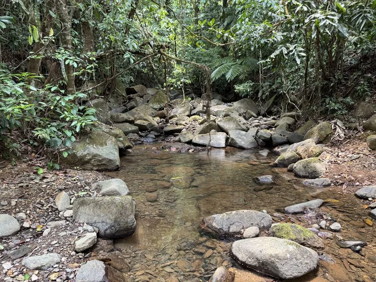 50 Acre Waterfall and River Paradise Above Dominical, photo 11