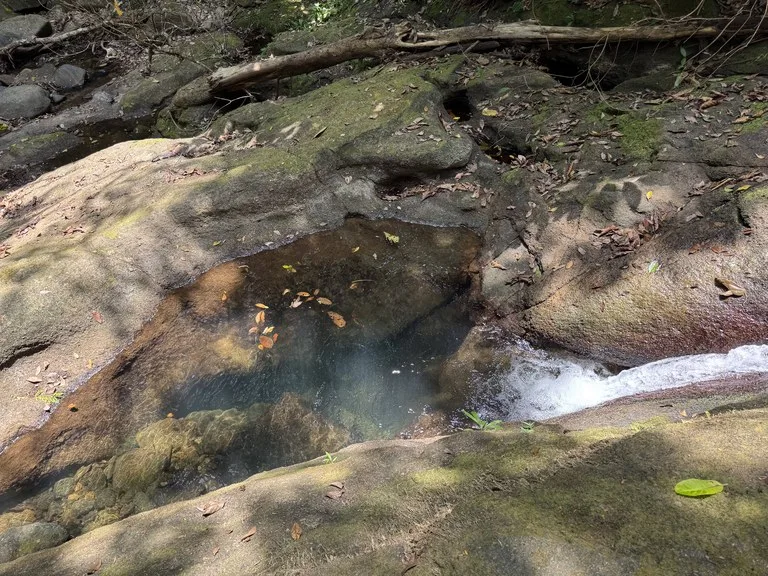 50 Acre Waterfall and River Paradise Above Dominical, photo 12