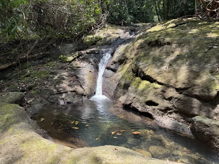 50 Acre Waterfall and River Paradise Above Dominical, photo 13